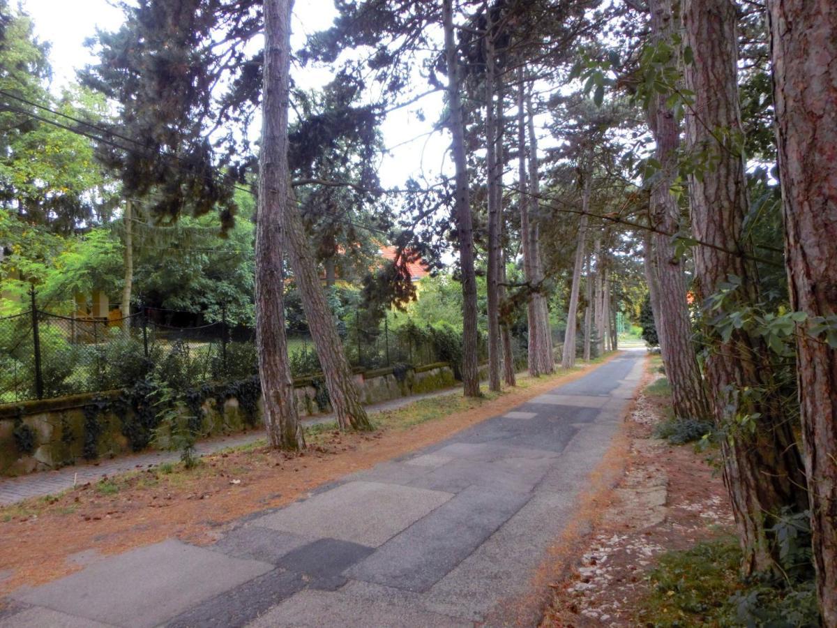 Piliscsaba Pilis Apartman מראה חיצוני תמונה